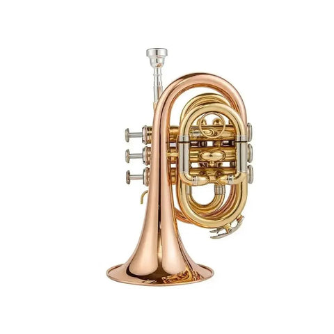 Aurosus TR 5 Bb Pocket Trumpet - Brass, Clear Lacquer Finish, Compact Design - high quality trumpet for student and professional musicians