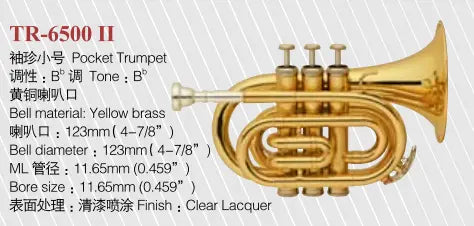 Aurosus TR-6500 Bb Pocket Trumpet - Brass, Clear Lacquer Finish, Compact Design Aurosus