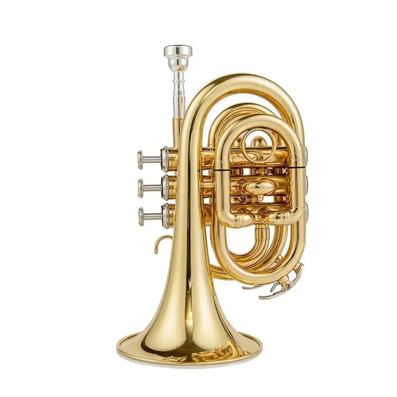 Aurosus TR-6500 Bb Pocket Trumpet - Brass, Clear Lacquer Finish, Compact Design - high quality trumpet for student and professional musicians