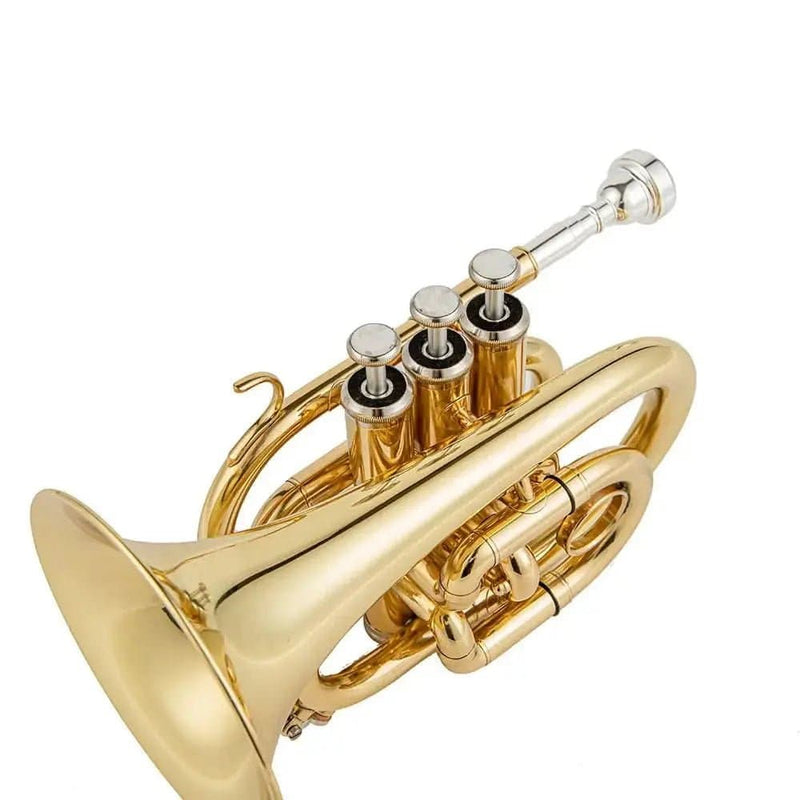 Aurosus TR-6500 Bb Pocket Trumpet - Brass, Clear Lacquer Finish, Compact Design - high quality trumpet for student and professional musicians