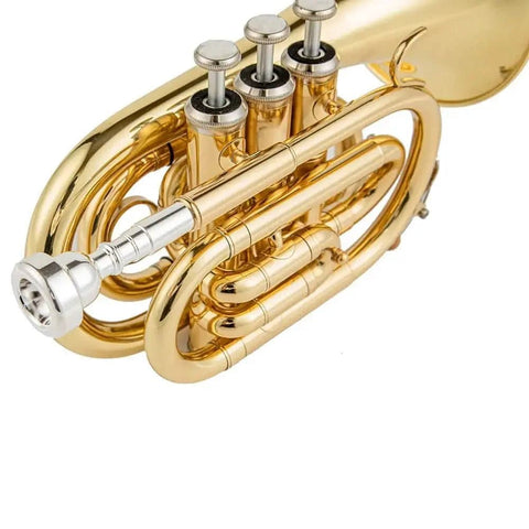 Aurosus TR-6500 Bb Pocket Trumpet - Brass, Clear Lacquer Finish, Compact Design - high quality trumpet for student and professional musicians