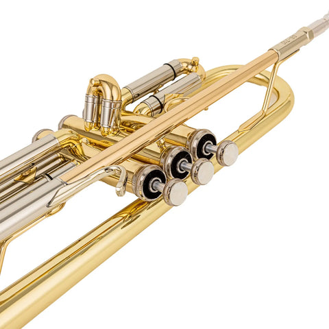 Aurosus TR-8333 Student Bb Trumpet for Beginners Yellow Brass Bell Clear Lacquer Finish - Aurosus Instrument