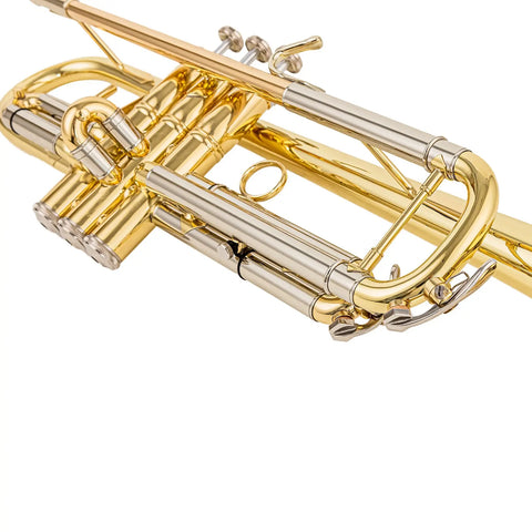 Aurosus TR-8333 Student Bb Trumpet for Beginners Yellow Brass Bell Clear Lacquer Finish - Aurosus Instrument