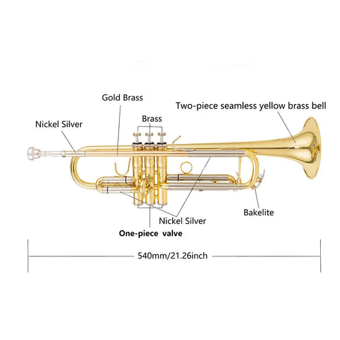 Aurosus TR-8333 Student Bb Trumpet for Beginners Yellow Brass Bell Clear Lacquer Finish - Aurosus Instrument