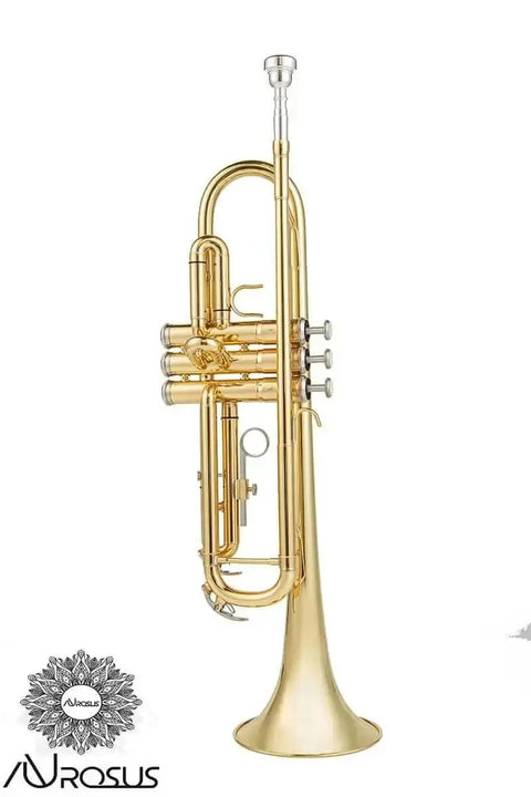 Aurosus YTR-6335 G Bb Trumpet for Beginners Brass Student Instrument - high quality trumpet for student and professional musicians