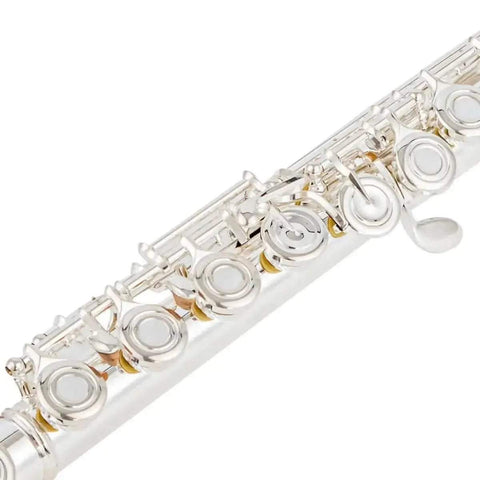 Aurosus 17 keys open hole flute for Student Musical Instrument - premium flute for student orchestra and band