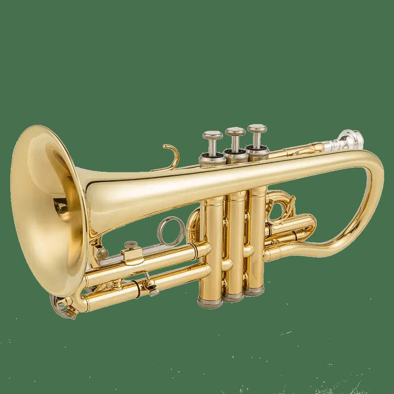 Aurosus AU171SW Bb Cornet - musical instrument for students and music education