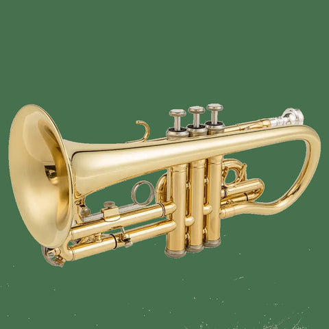 Aurosus AU171SW Bb Cornet - musical instrument for students and music education