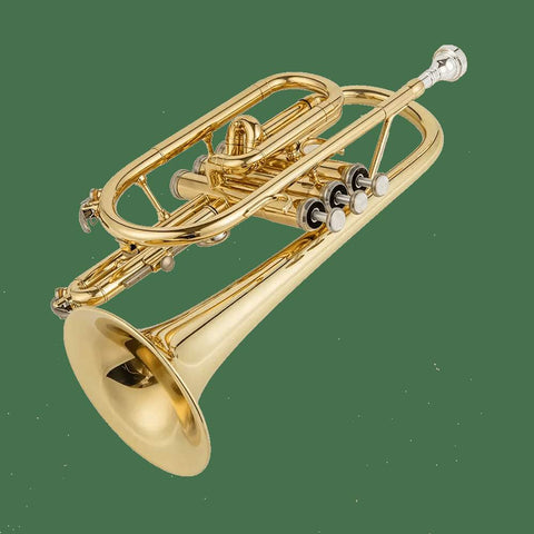 Aurosus AU171SW Bb Cornet - musical instrument for students and music education