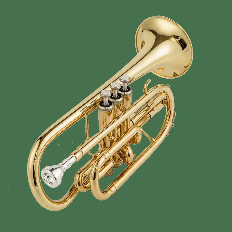 Aurosus AU171SW Bb Cornet - musical instrument for students and music education