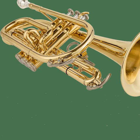 Aurosus AU171SW Bb Cornet - musical instrument for students and music education