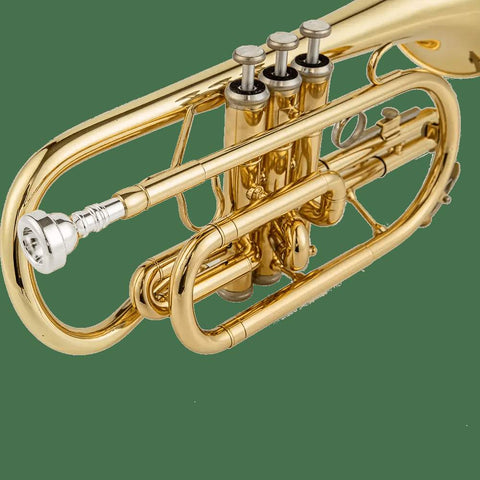 Aurosus AU171SW Bb Cornet - musical instrument for students and music education
