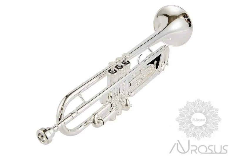 AUROSUS Bb Student Bass Clarinet – ABS Body Low Pitch Clarinet for Beginners and Students - professional clarinet for music students and performers