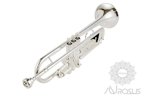 AUROSUS Bb Student Bass Clarinet – ABS Body Low Pitch Clarinet for Beginners and Students - professional clarinet for music students and performers