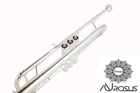 AUROSUS Bb Student Bass Clarinet – ABS Body Low Pitch Clarinet for Beginners and Students - professional clarinet for music students and performers
