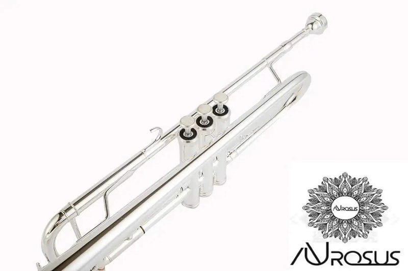AUROSUS Bb Student Bass Clarinet – ABS Body Low Pitch Clarinet for Beginners and Students - professional clarinet for music students and performers