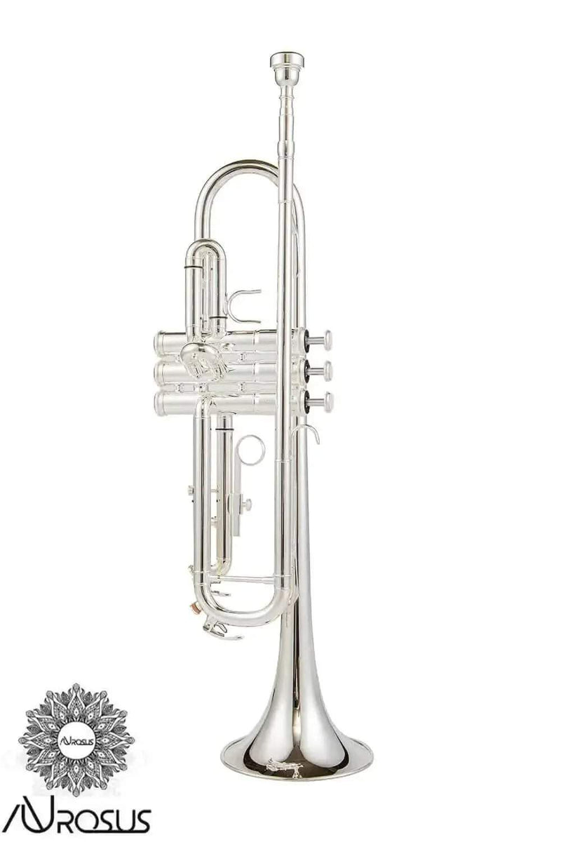 AUROSUS Bb Student Bass Clarinet – ABS Body Low Pitch Clarinet for Beginners and Students - professional clarinet for music students and performers