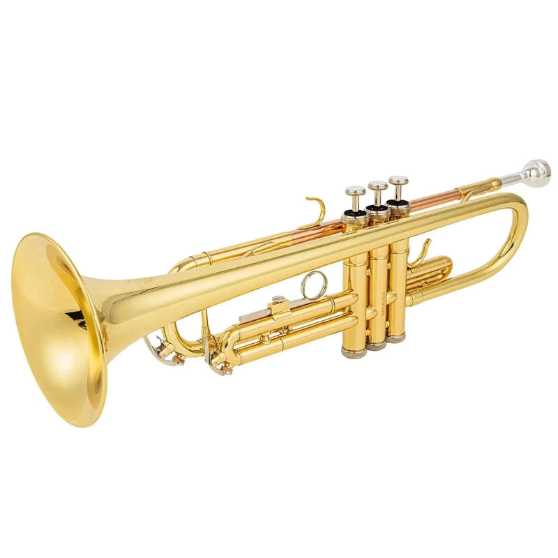 AUROSUS Bb Student Bass Clarinet – ABS Body Low Pitch Clarinet for Beginners and Students - professional clarinet for music students and performers