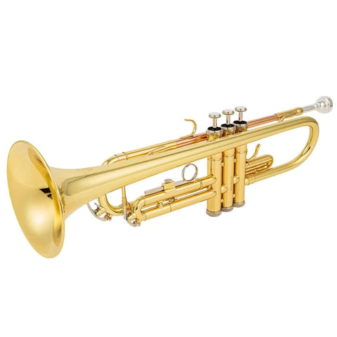 AUROSUS Bb Student Bass Clarinet – ABS Body Low Pitch Clarinet for Beginners and Students - professional clarinet for music students and performers