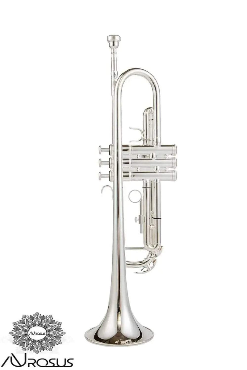 AUROSUS Bb Student Bass Clarinet – ABS Body Low Pitch Clarinet for Beginners and Students - professional clarinet for music students and performers