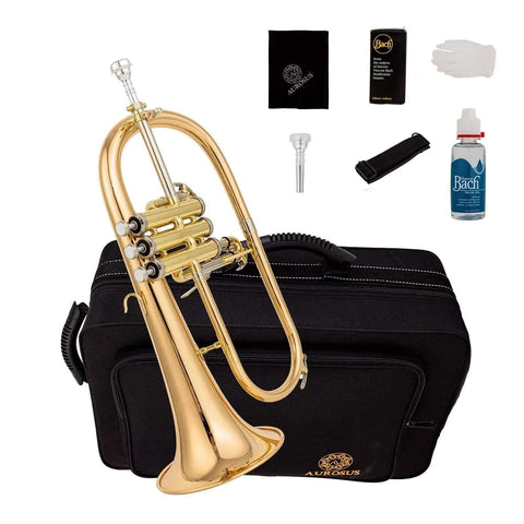 Aurosus Bb Yellow Brass YFH-8310Z Flugelhorn - musical instrument for students and music education