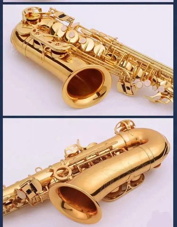Aurosus JP YCR-4330 Bb Cornet - Yellow Brass, Gold Lacquer Finish - musical instrument for students and music education