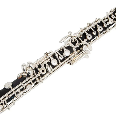 Aurosus JP YCR-4330 Bb Cornet - Yellow Brass, Gold Lacquer Finish - musical instrument for students and music education