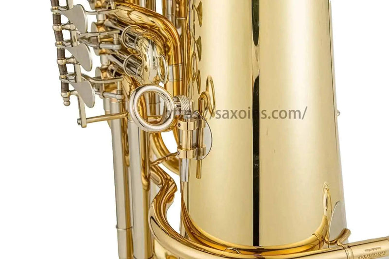 Aurosus JP YCR-4330 Bb Cornet - Yellow Brass, Gold Lacquer Finish - musical instrument for students and music education
