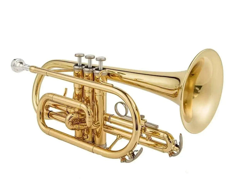 Aurosus Student Instrument - Aurosus Instrument