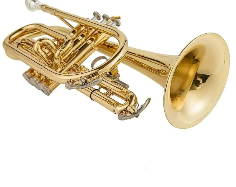 Aurosus Student Instrument - Aurosus Instrument