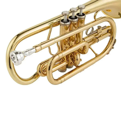 Aurosus Student Instrument - Aurosus Instrument