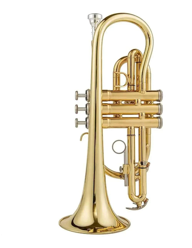 Aurosus Student Instrument - Aurosus Instrument
