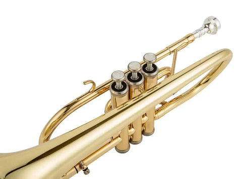 Aurosus Student Instrument - Aurosus Instrument