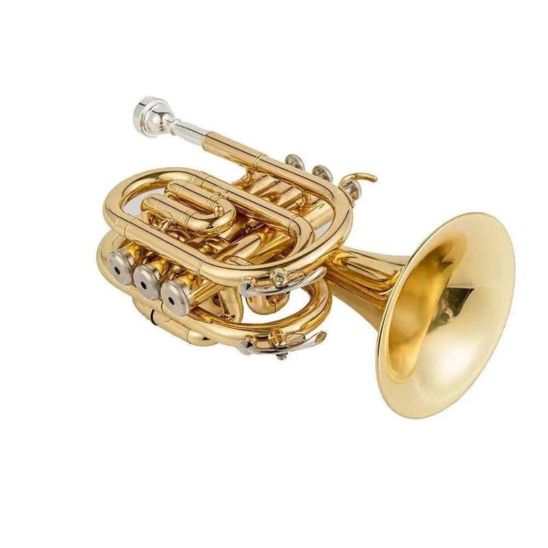 Aurosus TR-6500 Bb Pocket Trumpet - Brass, Clear Lacquer Finish, Compact Design - high quality trumpet for student and professional musicians