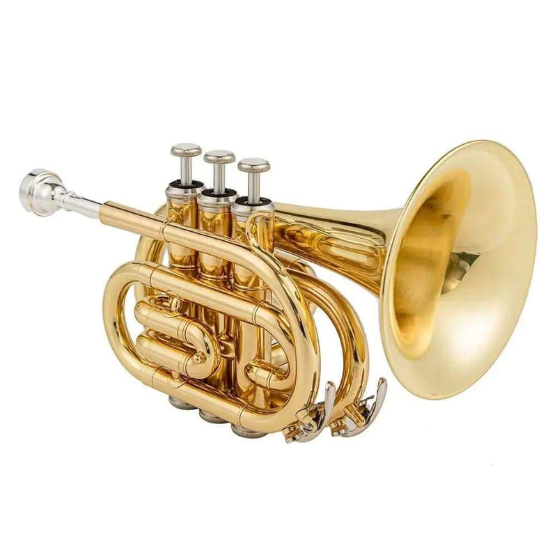 Aurosus TR-6500 Bb Pocket Trumpet - Brass, Clear Lacquer Finish, Compact Design - high quality trumpet for student and professional musicians