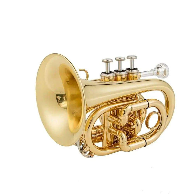Aurosus TR-6500 Bb Pocket Trumpet - Brass, Clear Lacquer Finish, Compact Design - high quality trumpet for student and professional musicians