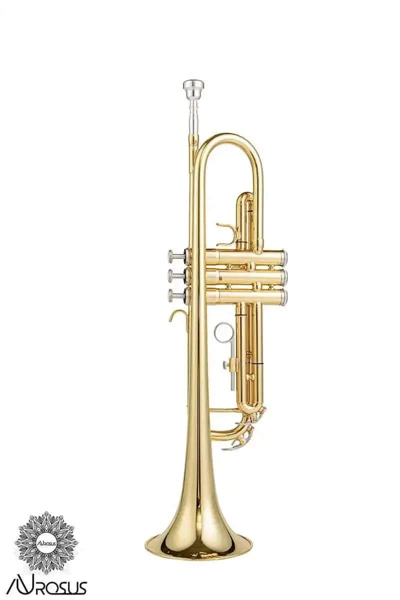 Aurosus YTR-6335 G Bb Trumpet for Beginners Brass Student Instrument - high quality trumpet for student and professional musicians
