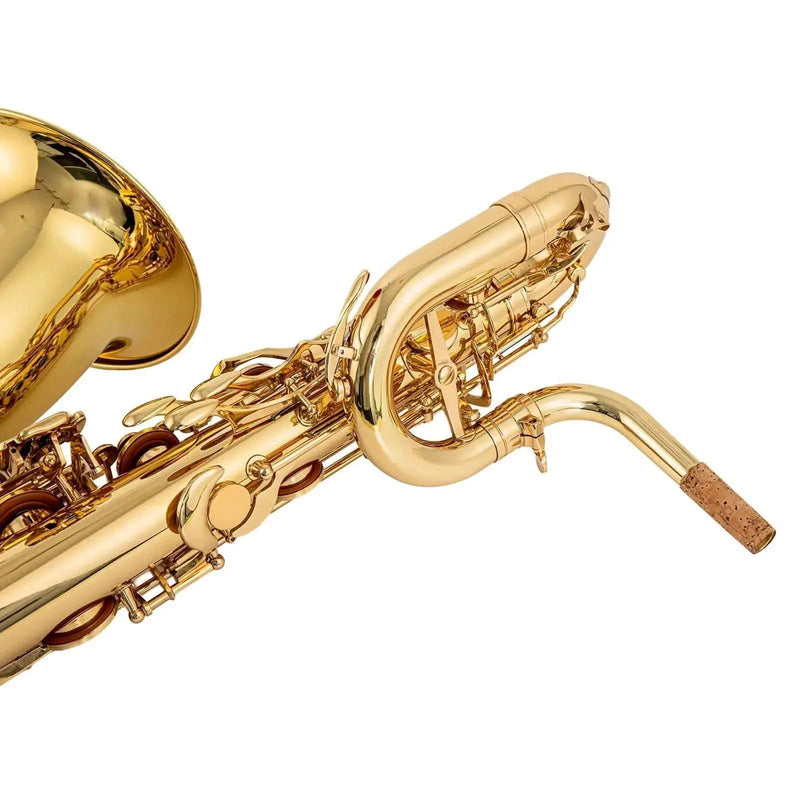 Aurosus baritone saxophone - alto/tenor saxophone for jazz band and student musicians