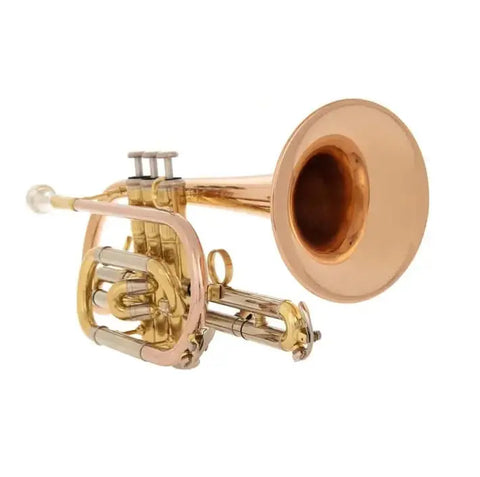 Aurosus AU171SW Bb Cornet - musical instrument for students and music education