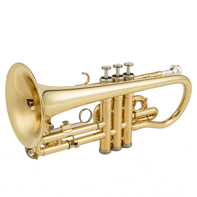 Aurosus AU171SW Bb Cornet - musical instrument for students and music education