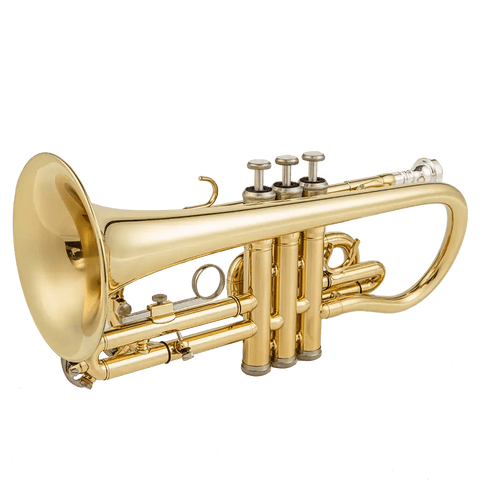 Aurosus AU171SW Bb Cornet - musical instrument for students and music education