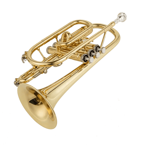 Aurosus AU171SW Bb Cornet - musical instrument for students and music education