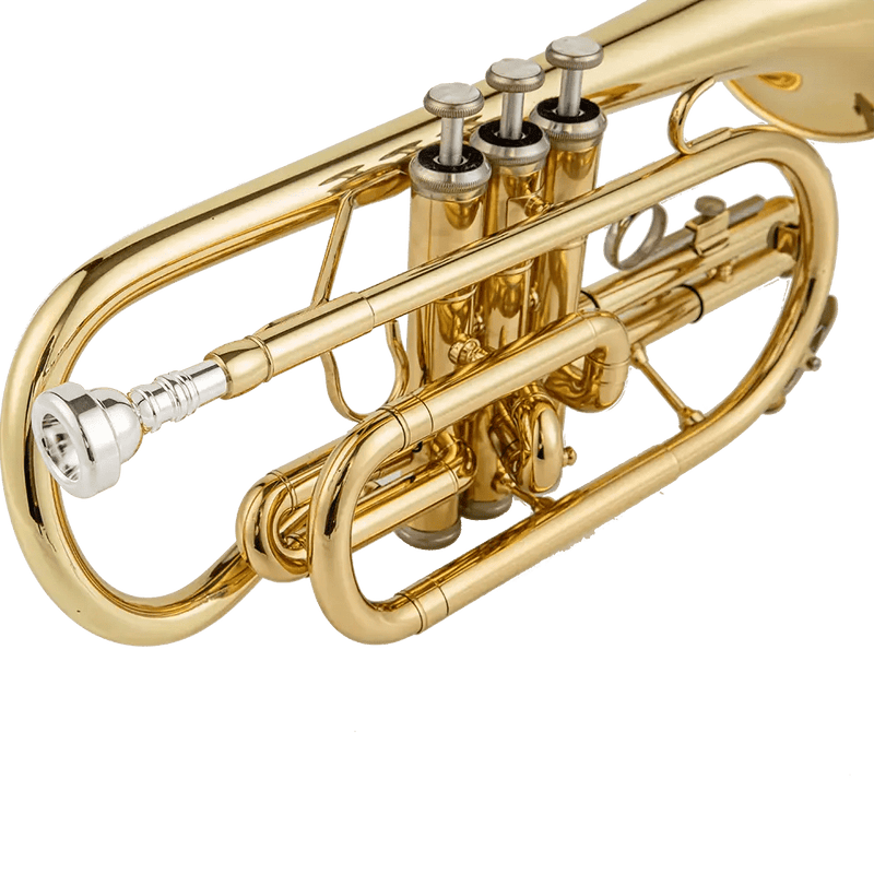 Aurosus AU171SW Bb Cornet - musical instrument for students and music education