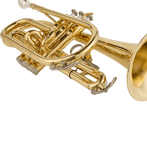 Aurosus AU171SW Bb Cornet - musical instrument for students and music education