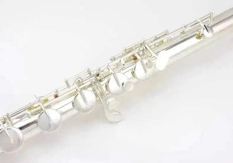 Bass Flute VBF-A600 C-Tune White Brass Ensemble Instrument - premium flute for student orchestra and band