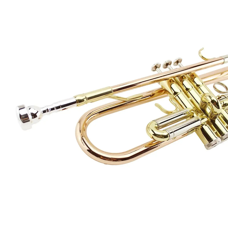 Bb Student Trumpet MTR-500 Phosphor Bronze Body for Students and Band Use - high quality trumpet for student and professional musicians