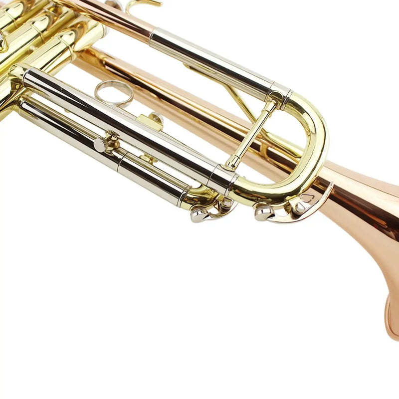 Bb Student Trumpet MTR-500 Phosphor Bronze Body for Students and Band Use - high quality trumpet for student and professional musicians