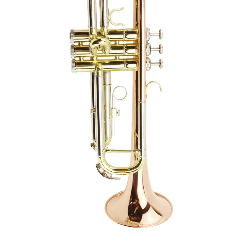 Bb Student Trumpet MTR-500 Phosphor Bronze Body for Students and Band Use - high quality trumpet for student and professional musicians