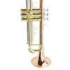 Bb Student Trumpet MTR-500 Phosphor Bronze Body for Students and Band Use - high quality trumpet for student and professional musicians