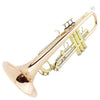 Bb Student Trumpet MTR-500 Phosphor Bronze Body for Students and Band Use - high quality trumpet for student and professional musicians